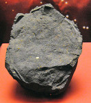 Jeden z fragmentů meteoritu Murchison v National Museum of Natural History, Washington
