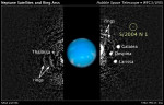 Nový i některé již známé měsíce Neptunu na snímku z Hubblova dalekohledu. Credit: NASA, ESA, and M. Showalter (SETI Institute)