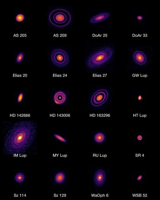 Protoplanetární disky očima radioteleskopů ALMA. Credit: ALMA (ESO/NAOJ/NRAO), S. Andrews et al.; N. Lira
